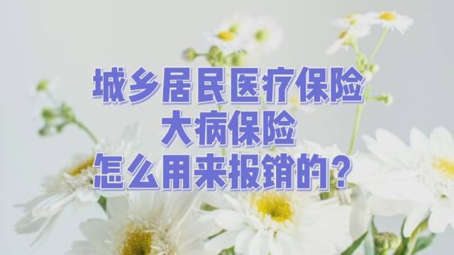 大病医疗保险的特点：